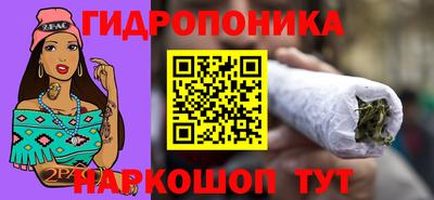 гашик Пыть-Ях