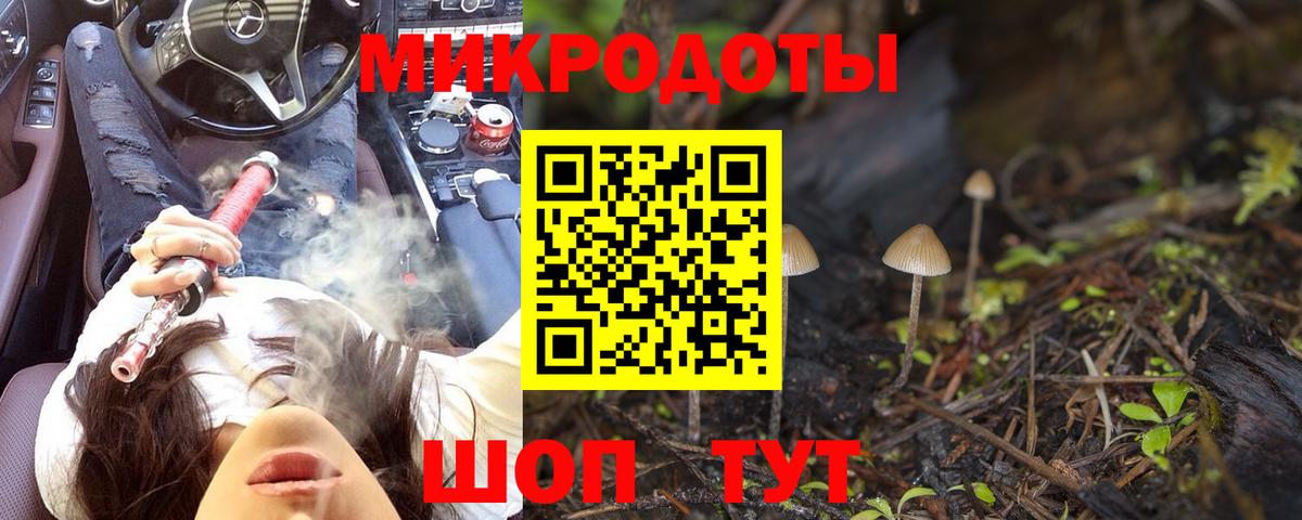 Тихорецк  Галлюциногенные грибы MAGIC MUSHROOMS  Вход с VPN 